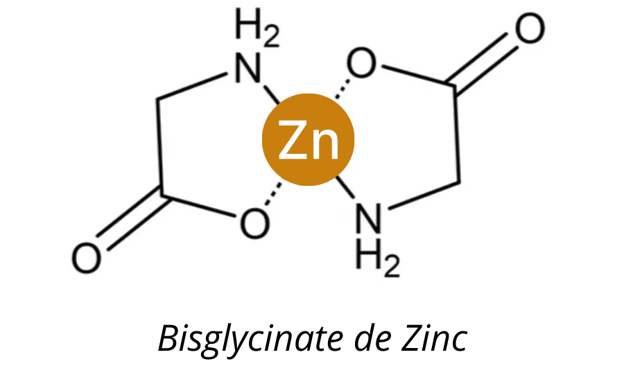 Bisglycinate de zinc chélaté